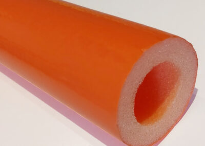 coquilla-naranja